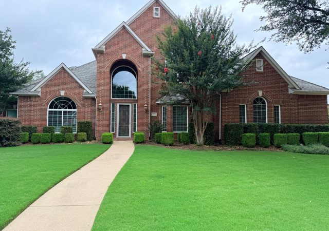 whole window replacement whole window replacement